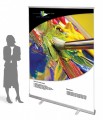 60" Exposcreen Retractable